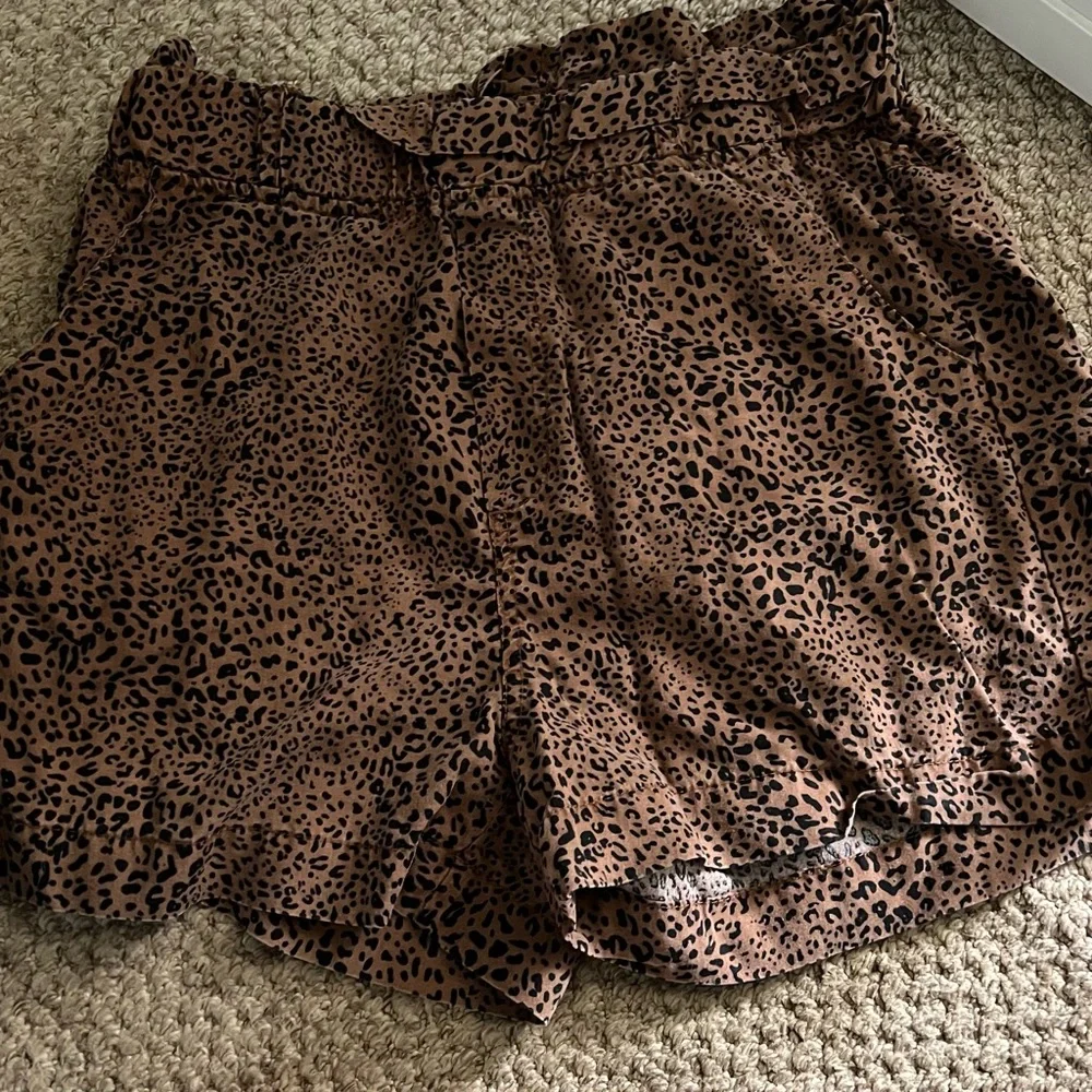 Leopard shorts - Picture 1 of 1